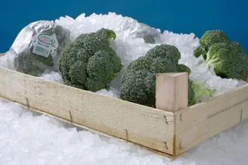 Tipos de hielo